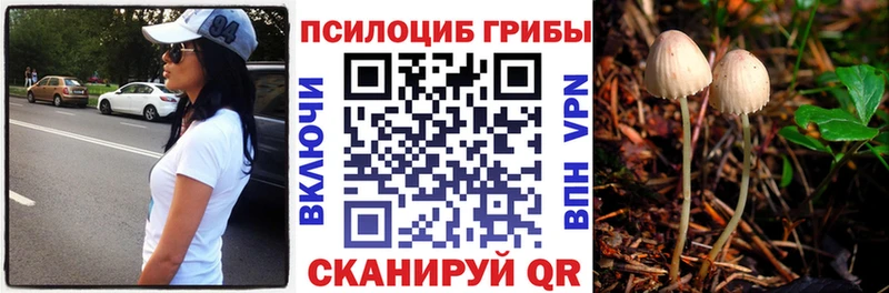 Галлюциногенные грибы MAGIC MUSHROOMS  даркнет сайт  Рубцовск 