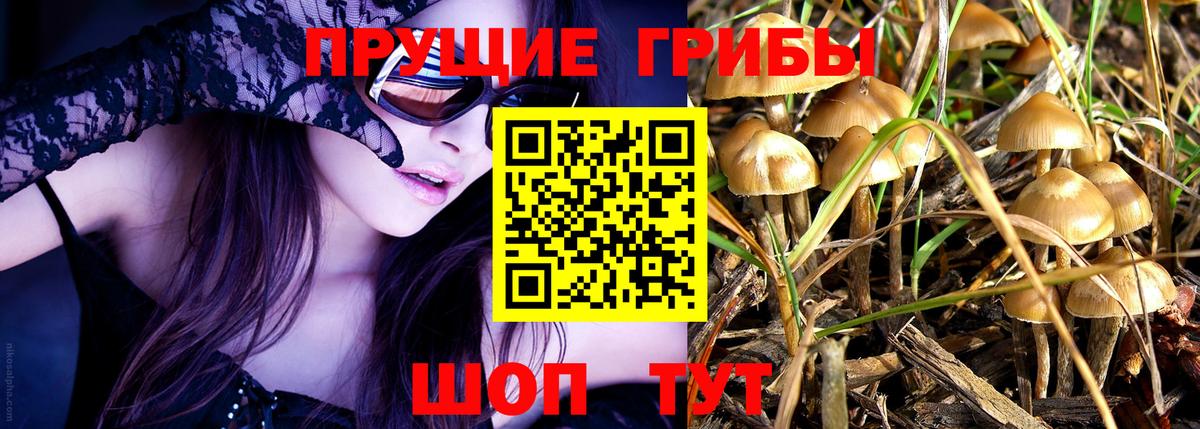 Псилоцибиновые грибы Magic Shrooms Рубцовск
