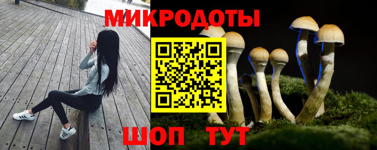 магазин продажи наркотиков  Псилоцибиновые грибы Magic Shrooms  Рубцовск  Вход с VPN  Псилоцибиновые грибы прущие грибы 